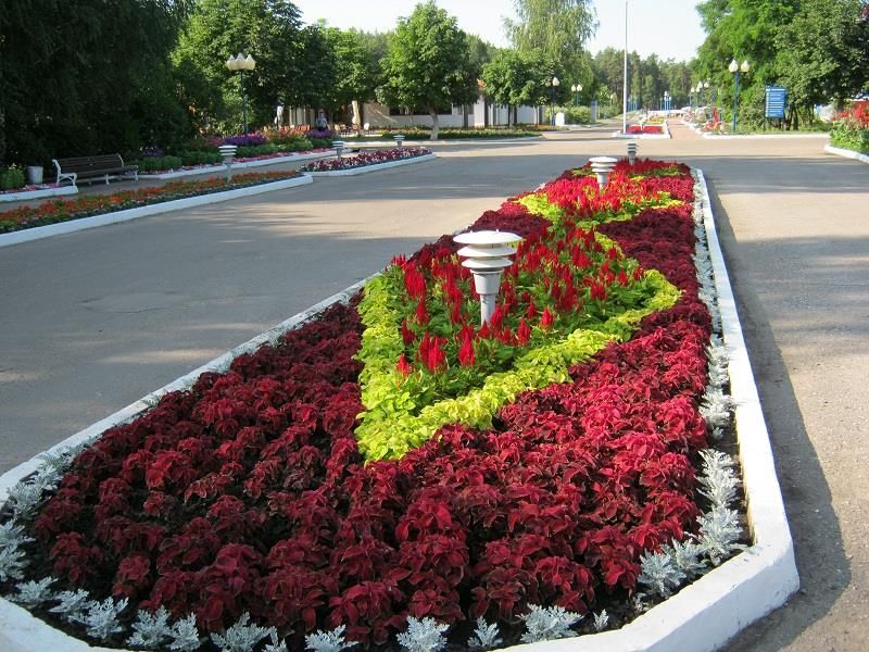 ОЗЕРО БЕЛОЕ, санаторий - 19