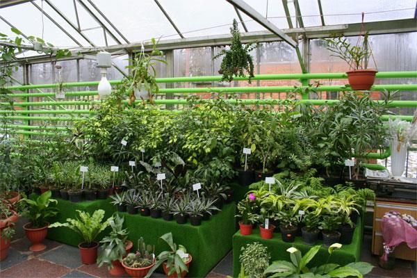 ОРБИТА-2, санаторий - 2