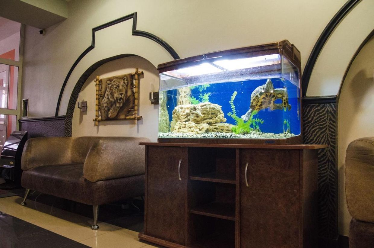 САФАРИ, гостиничный комплекс - 12