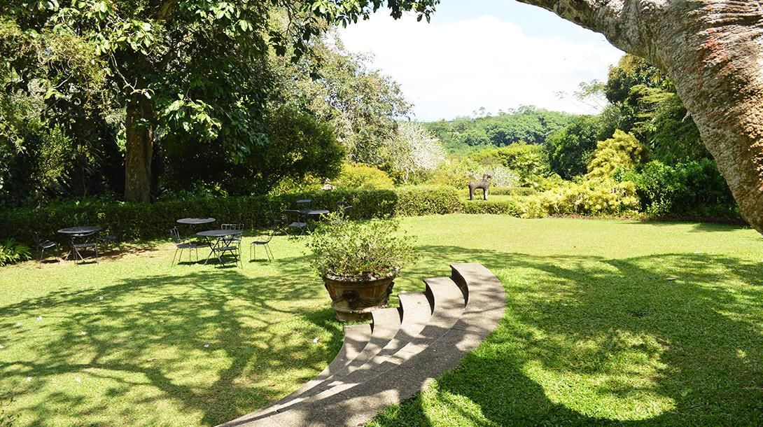 CINNAMON BENTOTA - 5