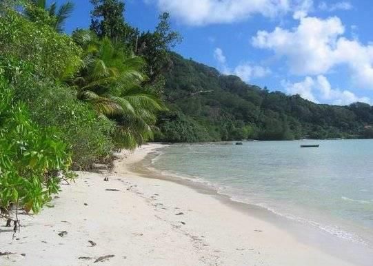 BLUE LAGOON CHALET - 7