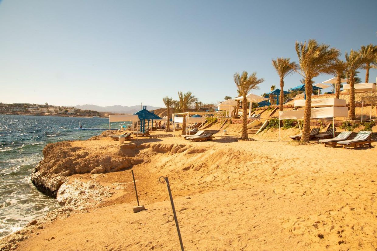 GRAND OASIS RESORT - 23
