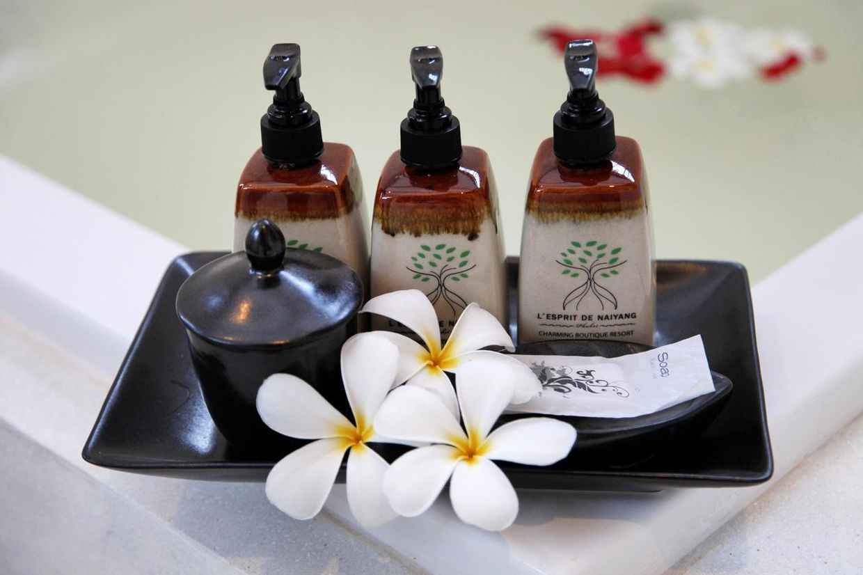 LESPRIT DE NAIYANG - 5