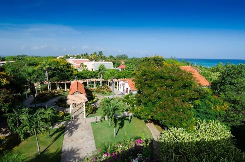 BE LIVE LOS CACTUS (onlt adults 16+) - 30