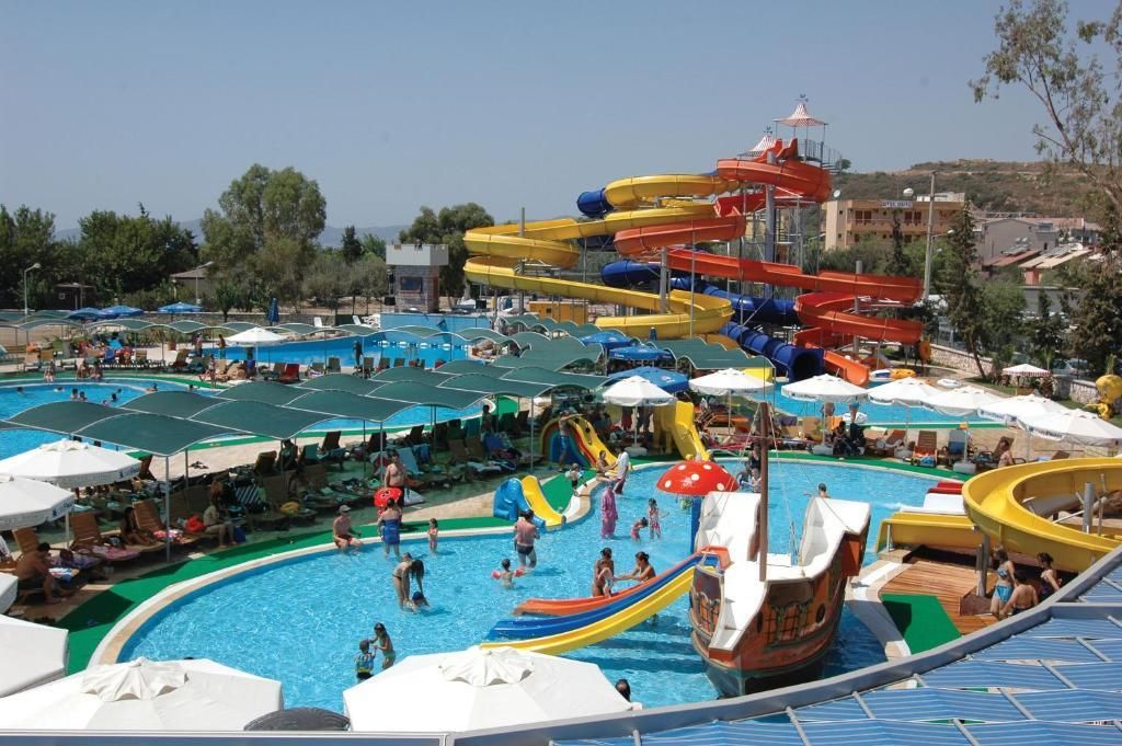 Club Cactus Paradise - 14