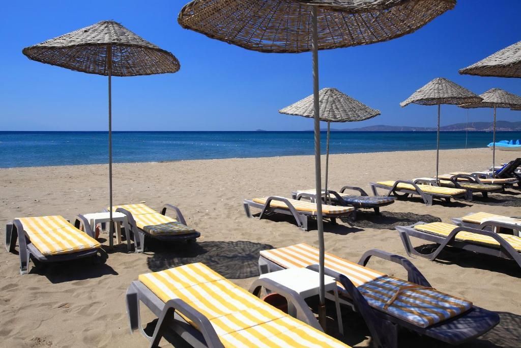 Club Cactus Paradise - 7