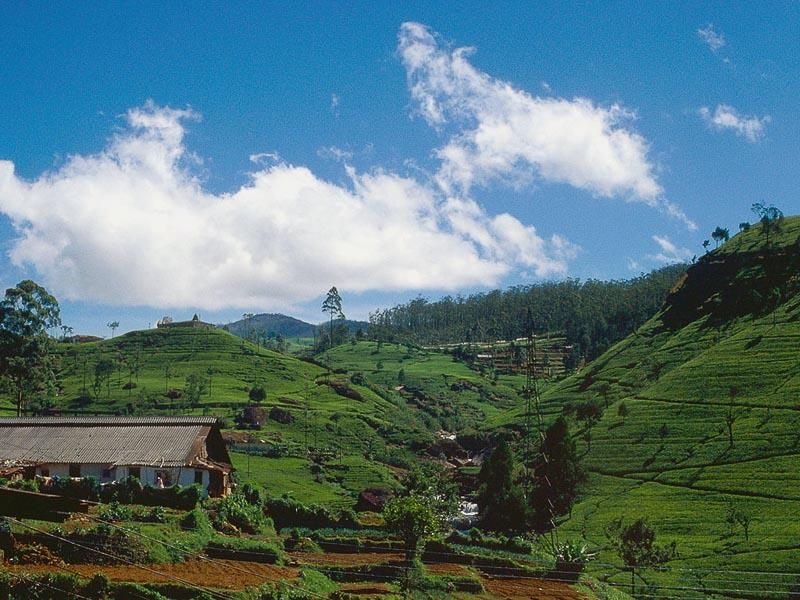 GEM OF SRI LANKA - 12