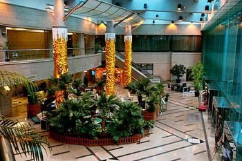 LJZ SUPREME TOWER - 18