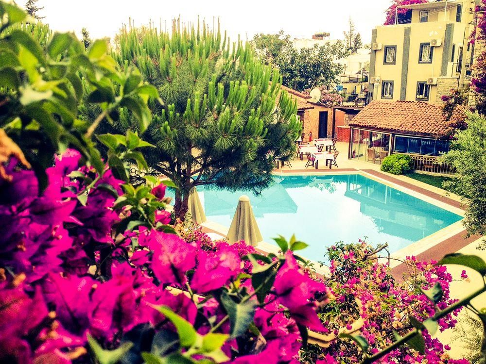 Moon Shine Hotel Suites - 1