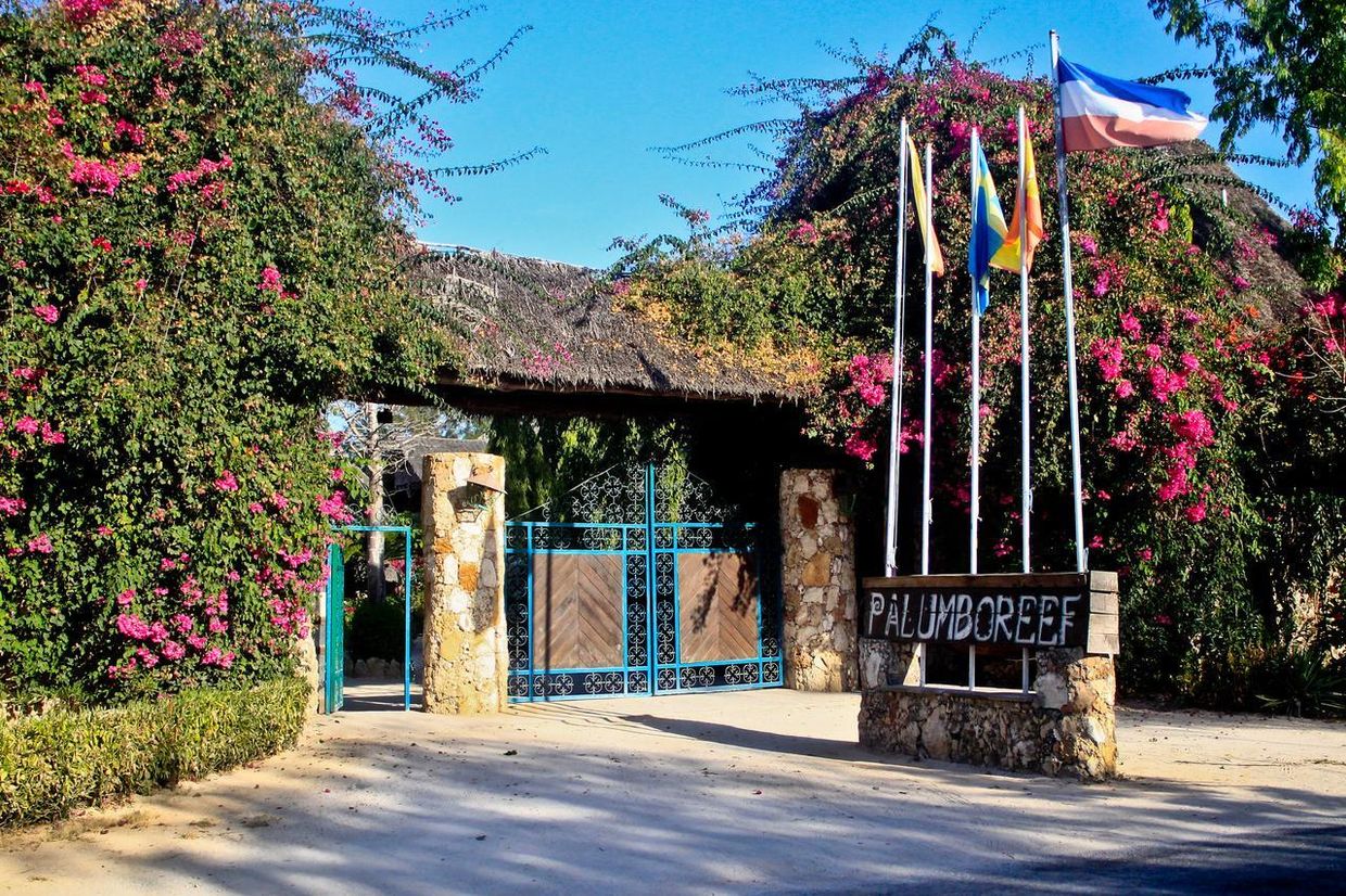 JAZ AMALUNA BEACH RESORT (only adults 16+) - 1