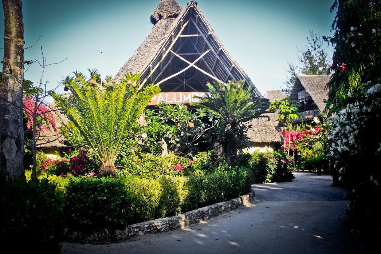 JAZ AMALUNA BEACH RESORT (only adults 16+) - 15