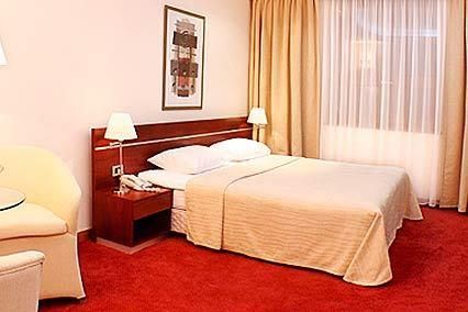 RADISSON BLU YEREVAN HOTEL - 10