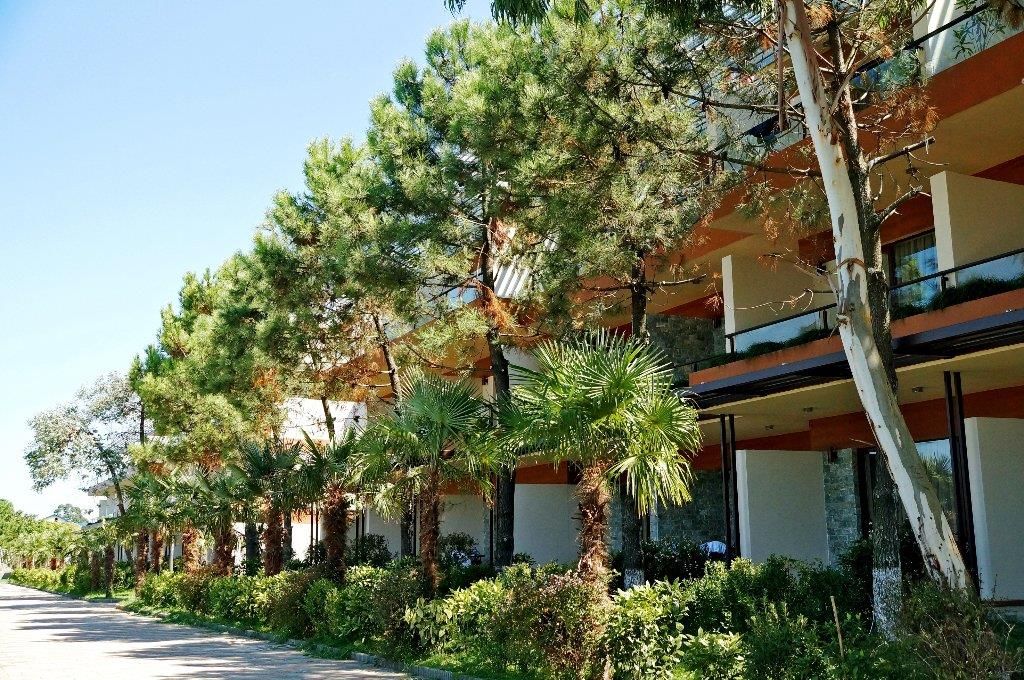 DREAMLAND OASIS - 15