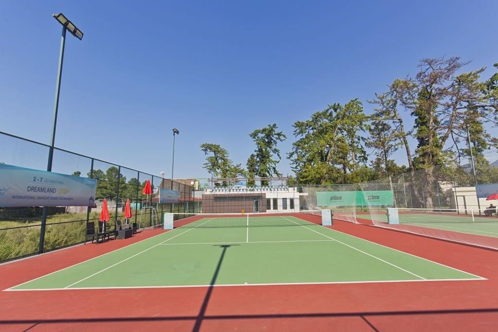 DREAMLAND OASIS - 25