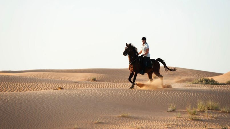 AL MAHA, A LUXURY COLLECTION DESERT RESORT & SPA - 4