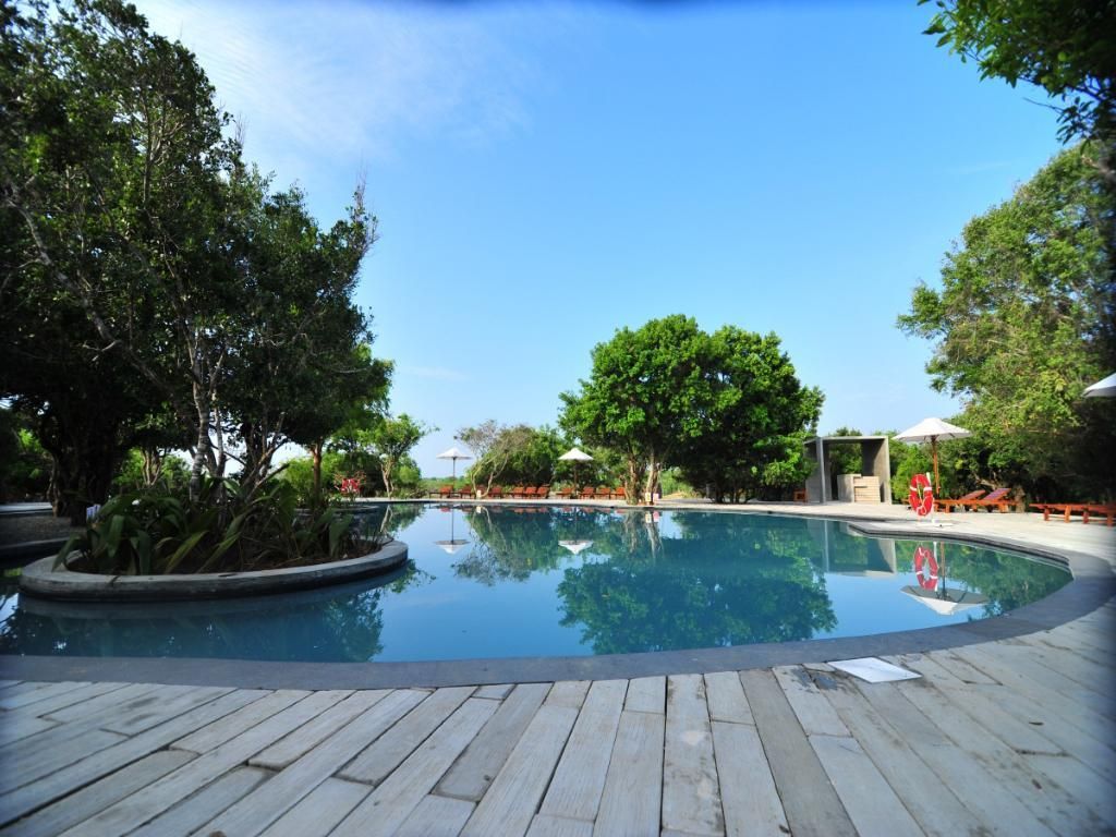 CINNAMON WILD YALA - 2