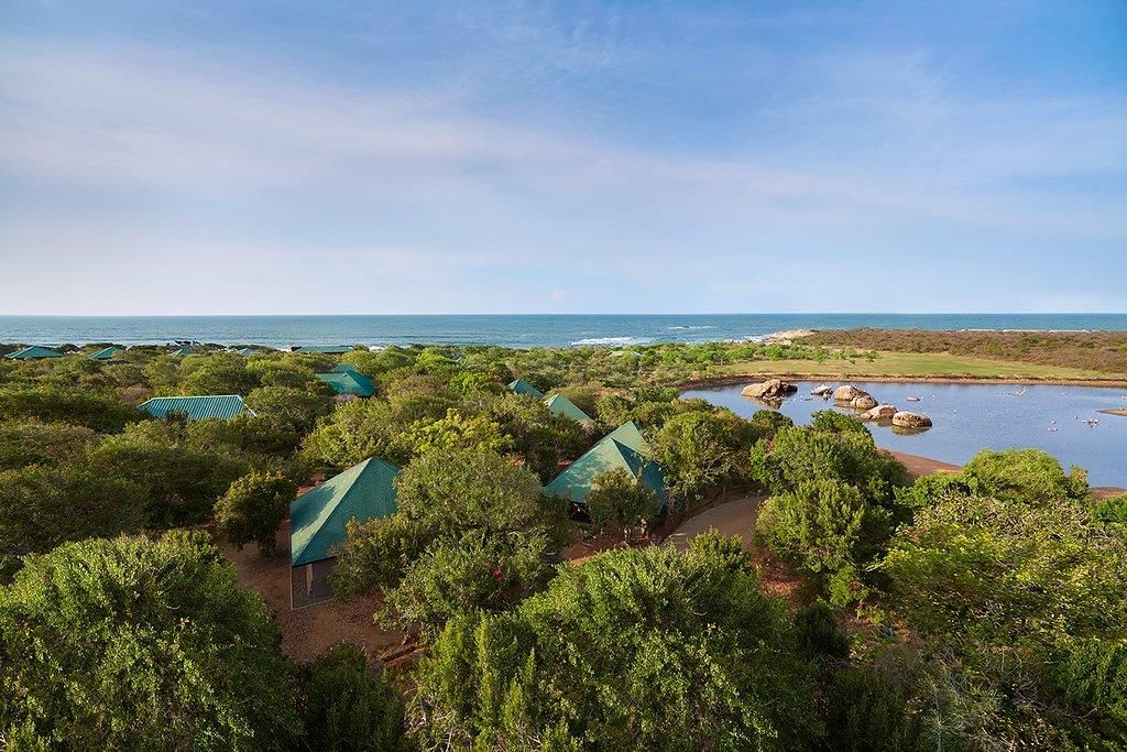 CINNAMON WILD YALA - 11