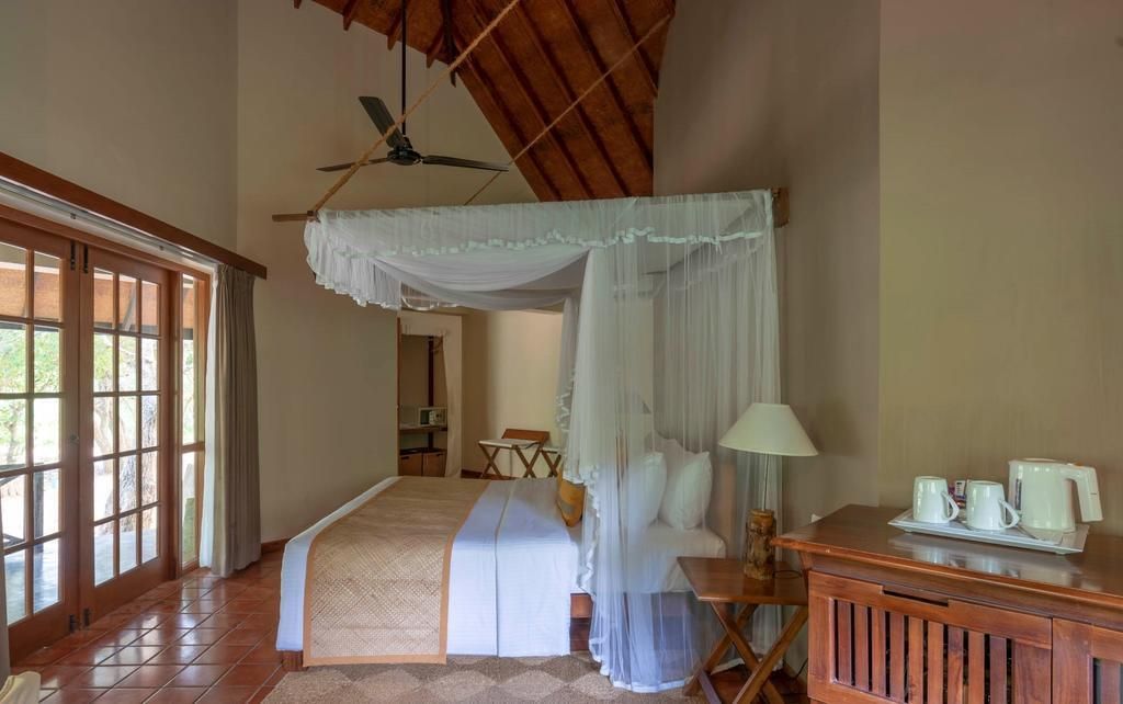 CINNAMON WILD YALA - 14