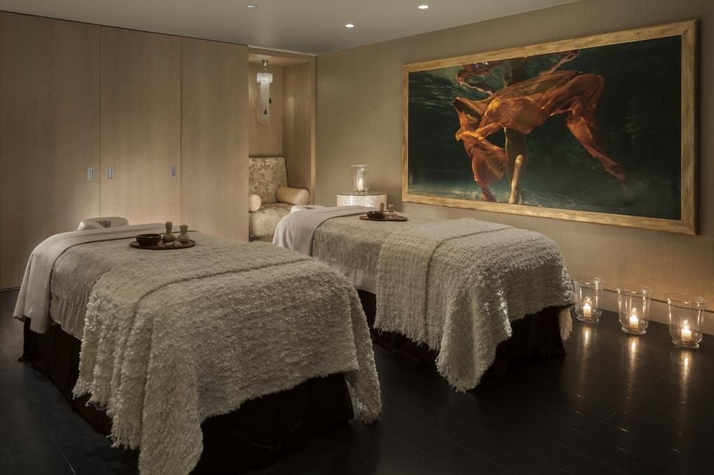 FOUR SEASONS HOTEL LION PALACE ST. PETERSBURG - 12