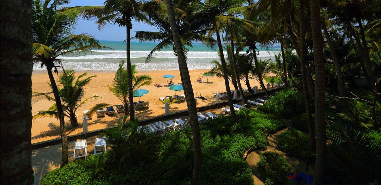 JAGA BAY RESORT GUESTHOUSE - 15