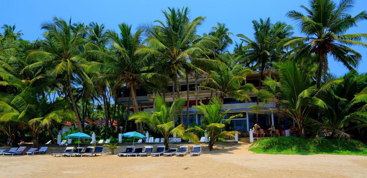 JAGA BAY RESORT GUESTHOUSE - 16