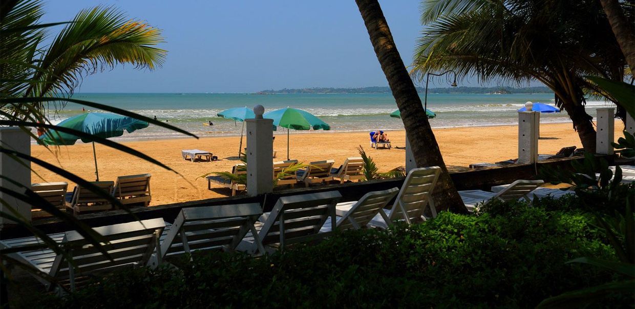 JAGA BAY RESORT GUESTHOUSE - 17