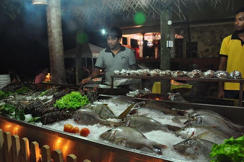 TARTARUGA GUESTHOUSE - 2